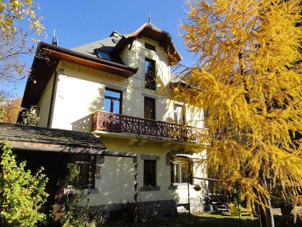 Les Terrasses Des Glaciers - Appartement 2 Шамоні Номер фото